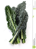 toscaanse-boerenkool-lacinato